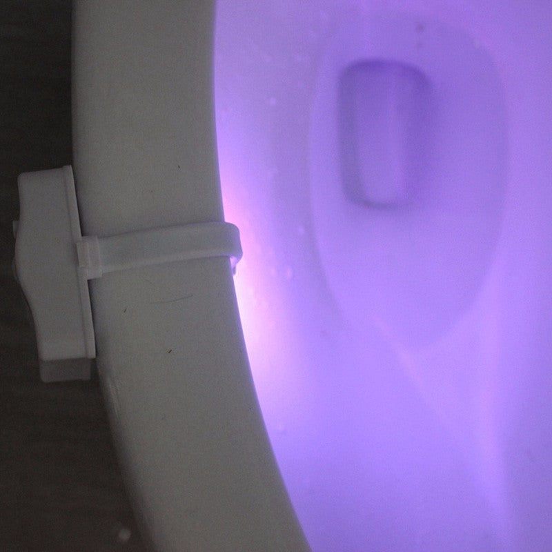 Motion Sensor Toilet Seat Light