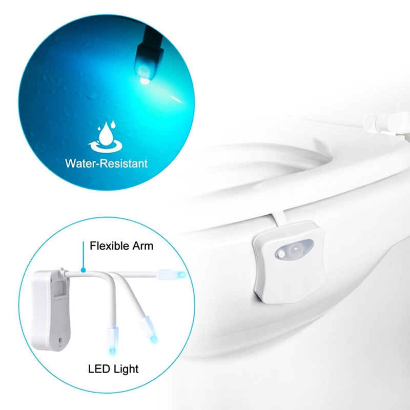 Motion Sensor Toilet Seat Light